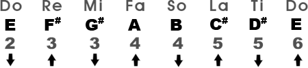 Major Scale in the Key of E